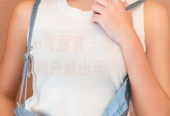 QingDouKe青豆客 – 资源包：柠檬c_lemon的黑白过山车，快来捧场！