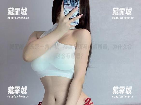 微密圈 - 东京一角，桃沢樱呀与斑马内裤图册，为什么会这么有意思？